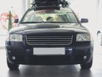 Passat 3BG 01-04 Grill
