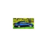 Ford Escort Trskelsats GTS