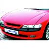 gonlock Vectra B