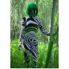 Maskeraddrkt Zebra