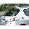 Peugeot 206 Takvinge Extrem